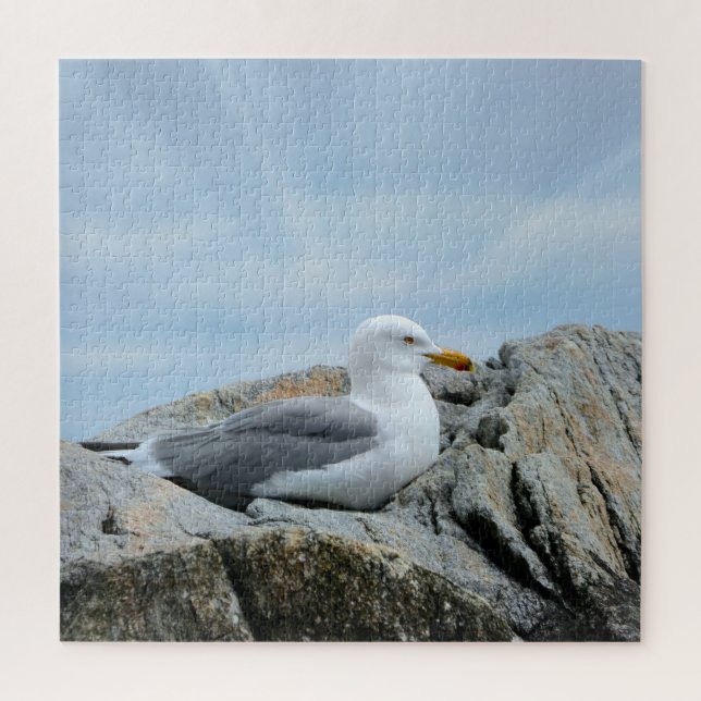 Seagull an der Küste Puzzle (Vertikal)