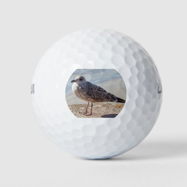 Seagull an der Wand Golfball (Vorderseite)