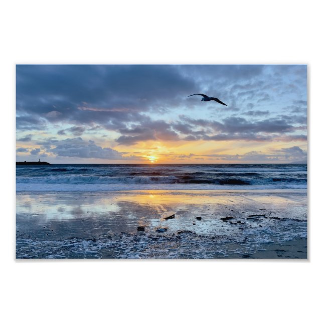 Seagull at Sunset - Venice Beach, CA Fotodruck (Vorne)