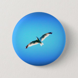Seagull auf blauem Knopf Button