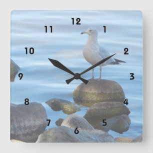 Seagull auf den Felsen Quadratische Wanduhr