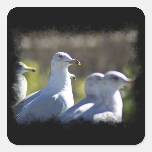 Seagull auf der Schiene Quadratischer Aufkleber (Vorderseite)