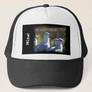 Seagull auf der Schiene Truckerkappe