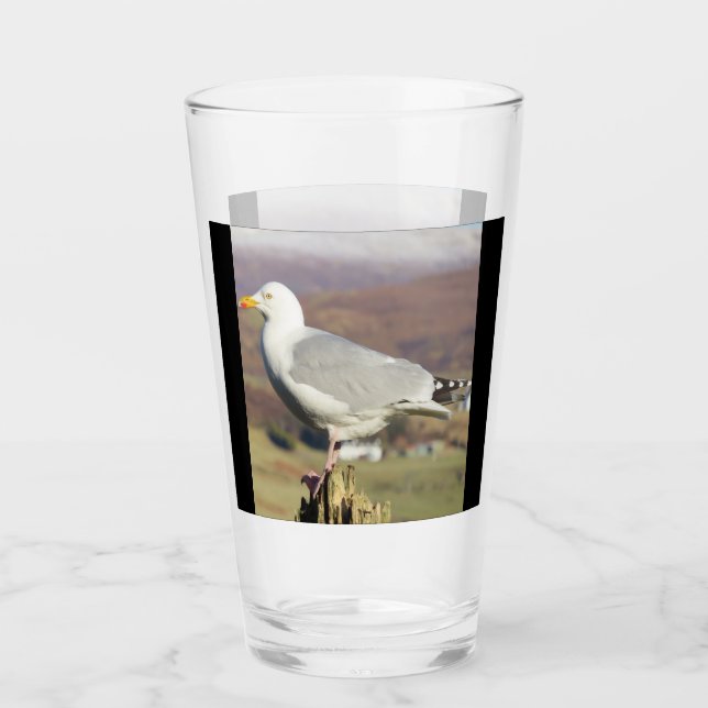 Seagull auf der Zaun Post Glas (Vorderseite)