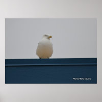 Seagull auf einem blauen Dach II