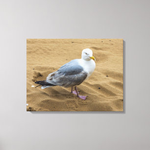 Seagull auf einem sandigen Leinwand drucksvoll