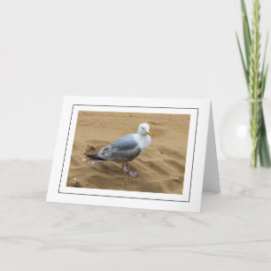 Seagull auf einem Sandstrand Grußkarte Karte