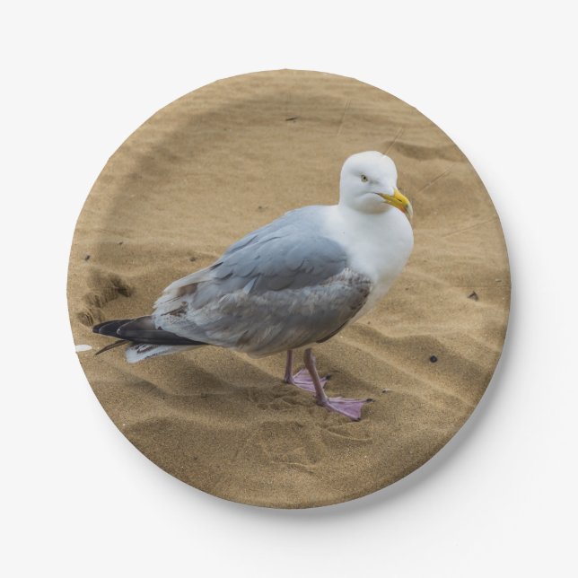 Seagull auf einer Strandpapierplatte Pappteller (Vorderseite)