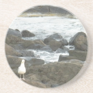 Seagull auf Felsen Getränkeuntersetzer