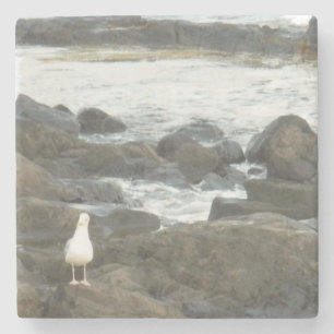 Seagull auf Felsen Steinuntersetzer