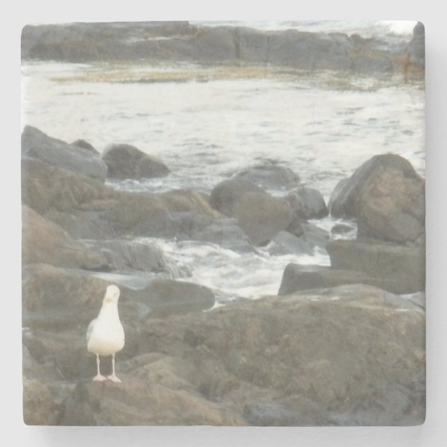 Seagull auf Felsen Steinuntersetzer (Vorderseite)
