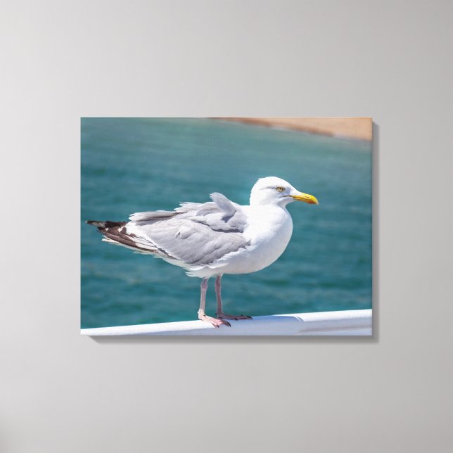 Seagull auf Geländer Ansicht Leinwand drucken (Vorderseite)