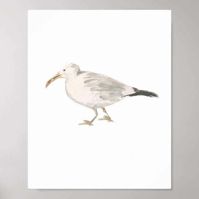 Seagull Beach Bird Painting Poster (Vorne)