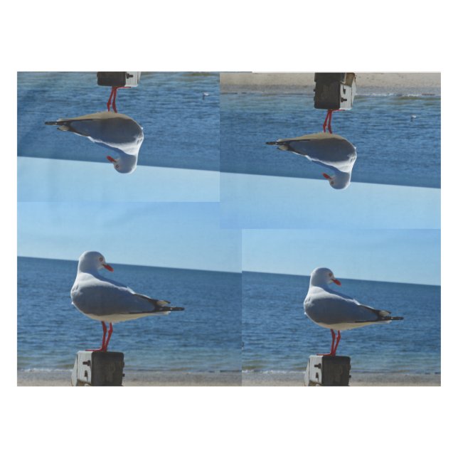 Seagull Beach Hübsche Tischdecken. Tischdecke (Vorderseite (Horizontal))