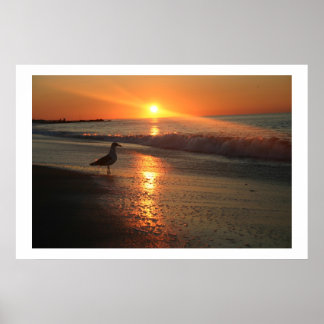 Seagull bei Sonnenaufgang - Gerahmt Print Poster