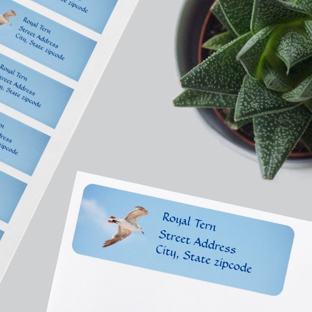 Seagull Bird in Flight Address Labels (Von Creator hochgeladen)