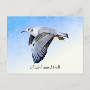 Seagull Bird Wasserfarbenmalerei Postkarte