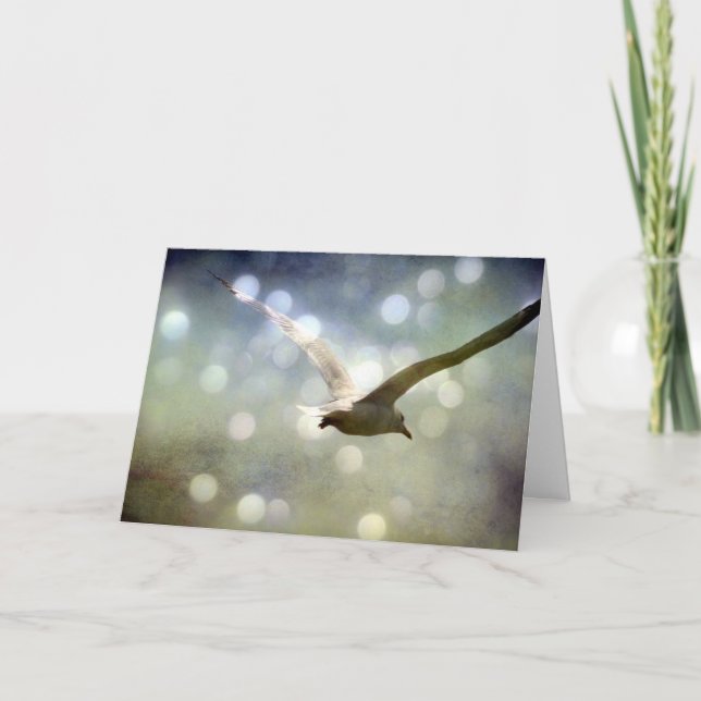 Seagull Birthday Karte (Vorderseite)