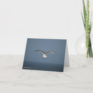 Seagull-Blätter-Karte Karte