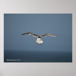 Seagull-Blätter Poster