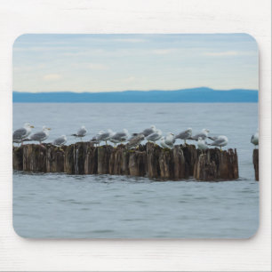 Seagull-Breaktime Mousepad