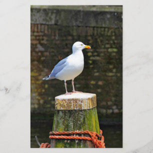 Seagull Briefpapier