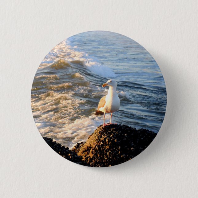 Seagull Button (Vorderseite)