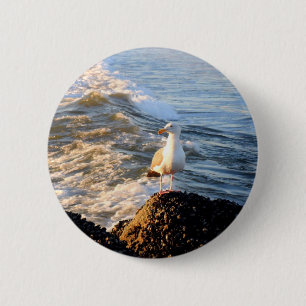 Seagull Button