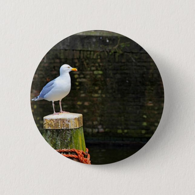 Seagull Button (Vorderseite)
