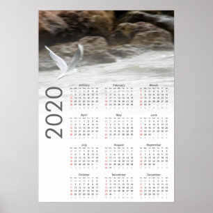 Seagull Calendar 2020 Poster