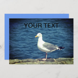 Seagull Danke Cards
