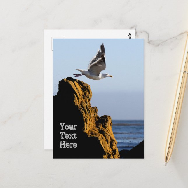 Seagull-Devices Postkarte (Vorderseite/Rückseite Beispiel)