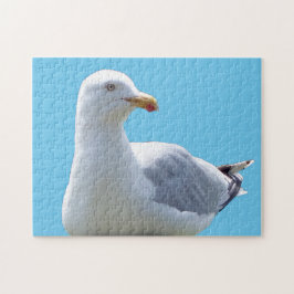Seagull-Down Puzzle