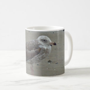 Seagull entspannt auf der Natur des sandigen, gema Kaffeetasse