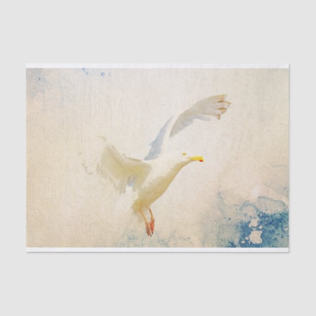 Seagull-Farbpapier Seidenpapier (Vorderseite)