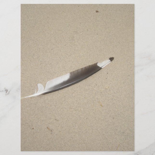 Seagull Feather (Vorderseite)