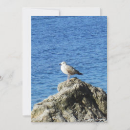 Seagull Feiertagskarte