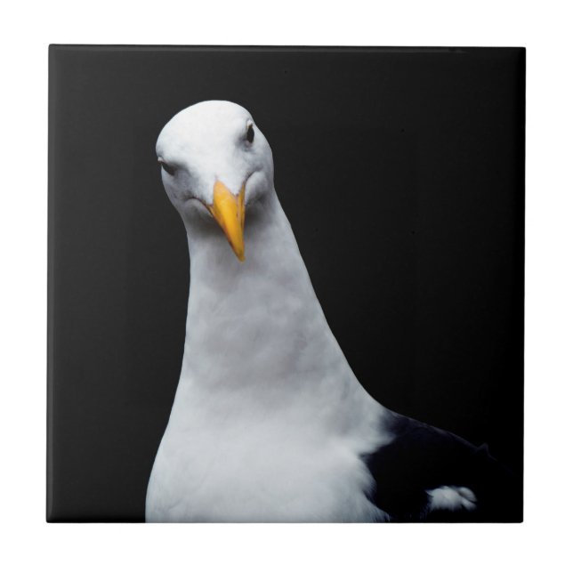 Seagull Fliese (Vorderseite)