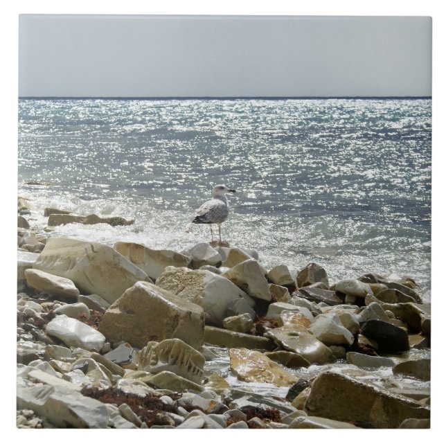 Seagull Fliese (Vorderseite)