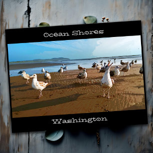 Seagull Flock Ocean Shoes Beach Washington Staat Postkarte