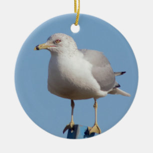Seagull-Foto Keramik Ornament