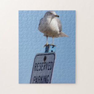 Seagull-Foto Puzzle