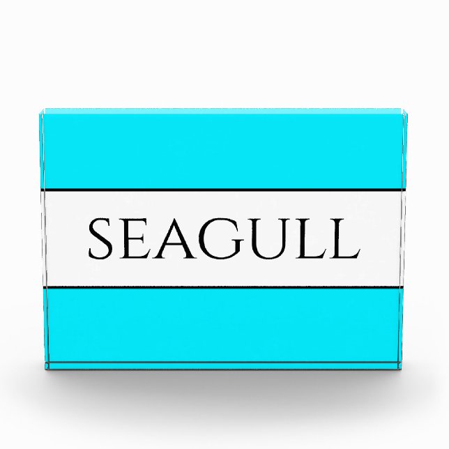 SEAGULL Fun Bright Hübsch Sky Blaue Streifen Fotoblock (Vorderseite)