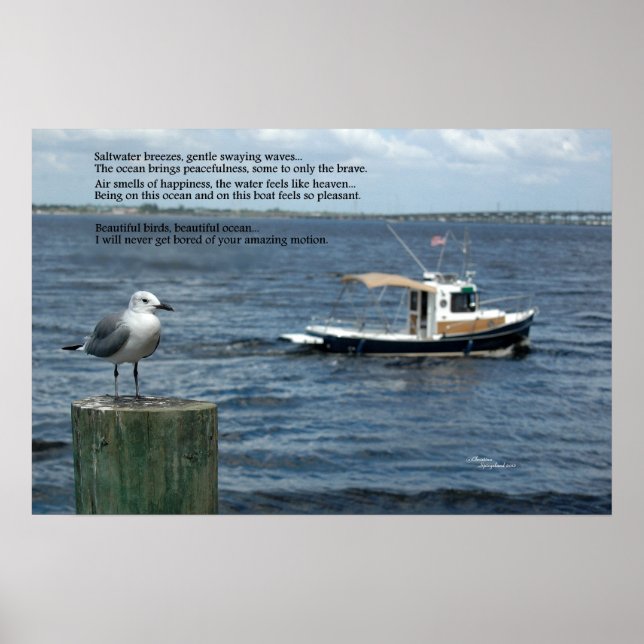 Seagull Gedicht Poster (Vorne)