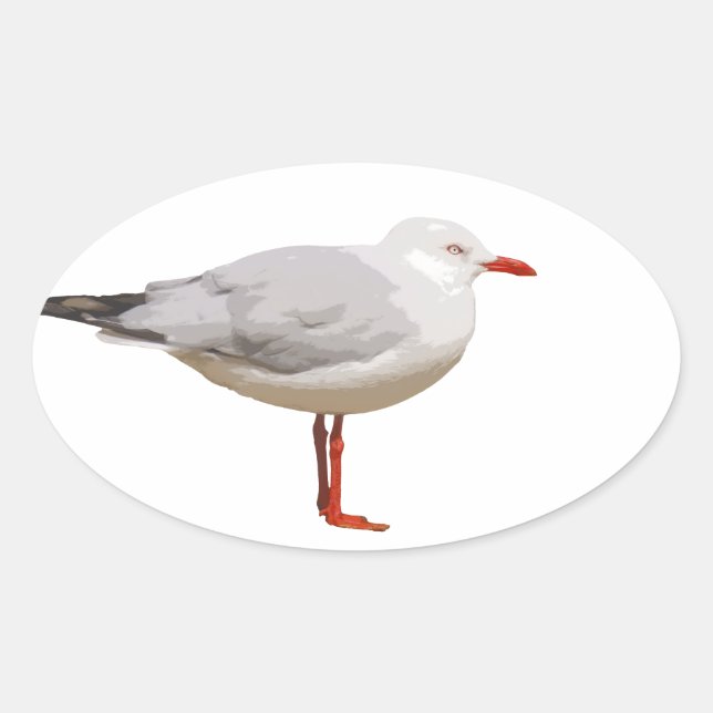 Seagull-Grafik Ovaler Aufkleber (Vorderseite)