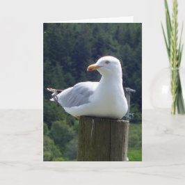 Seagull-Grüße Textkarte hinzufügen Karte