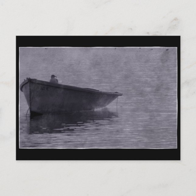 Seagull im Nebel. Postkarte (Vorderseite)