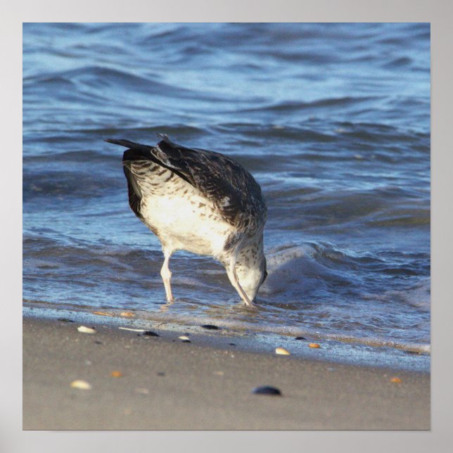 Seagull im Ozeanposter Poster (Vorne)