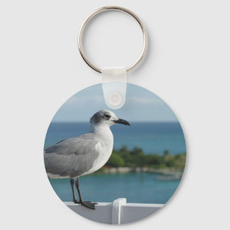 Seagull im Paradies Schlüsselanhänger