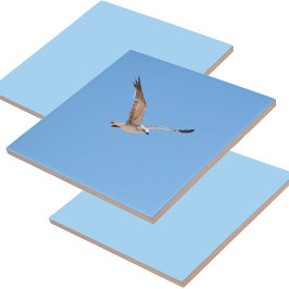 Seagull in Flight Blue Fliese